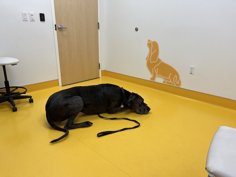 University of Florida Veterinary Hospital - Gainesville