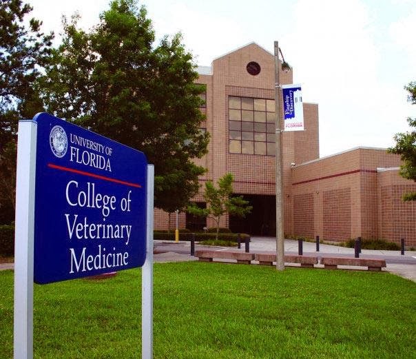 University of Florida Veterinary Hospital