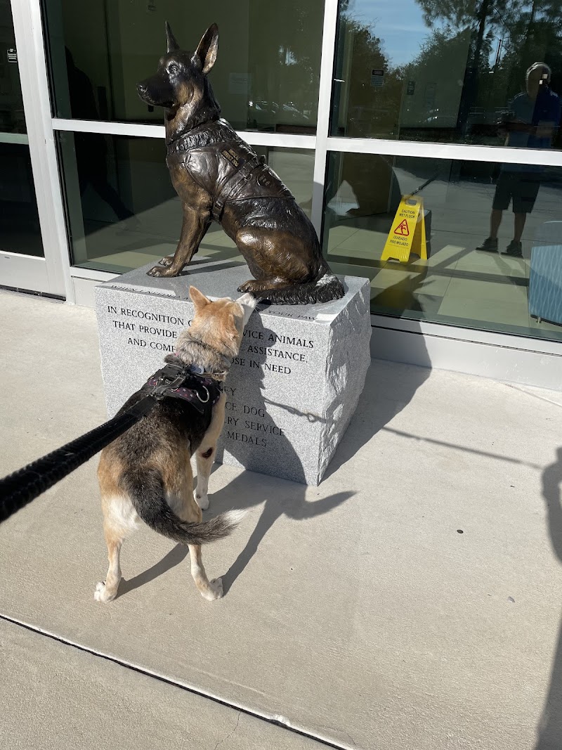 University of Florida Veterinary Hospital