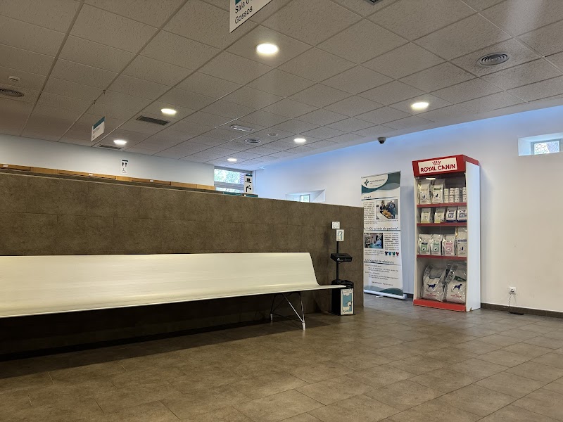 Veterinary Clinic Hospital