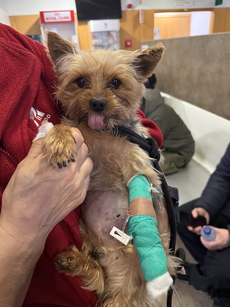Veterinary Clinic Hospital