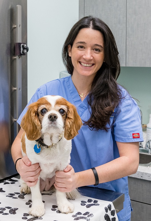 Battery Park Veterinary Hospital