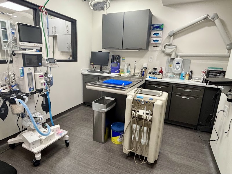 Battery Park Veterinary Hospital