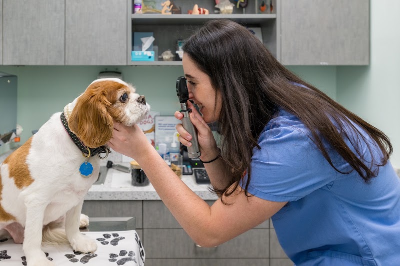 Battery Park Veterinary Hospital