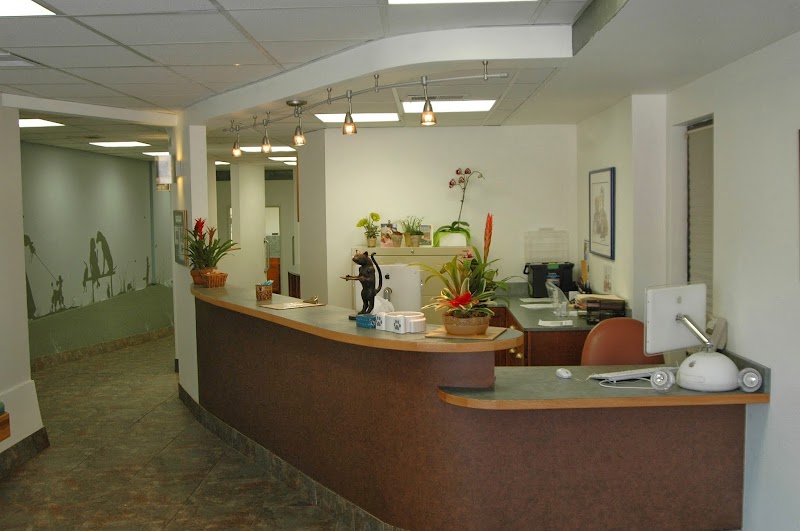 Veterinary Vision Animal Eye Specialists