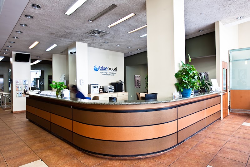 BluePearl Pet Hospital