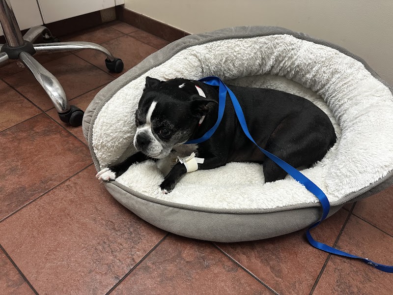 VCA Veterinary Specialists of CT