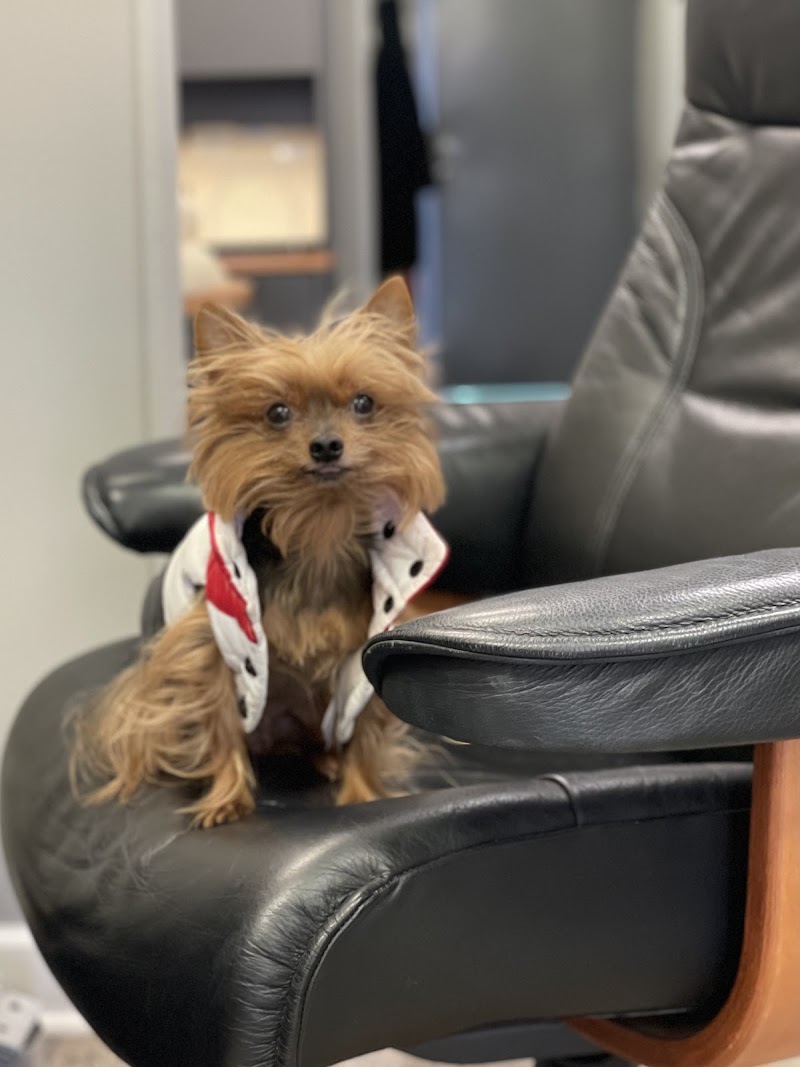 LePar Animal Hospital