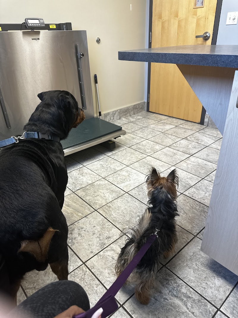 LePar Animal Hospital