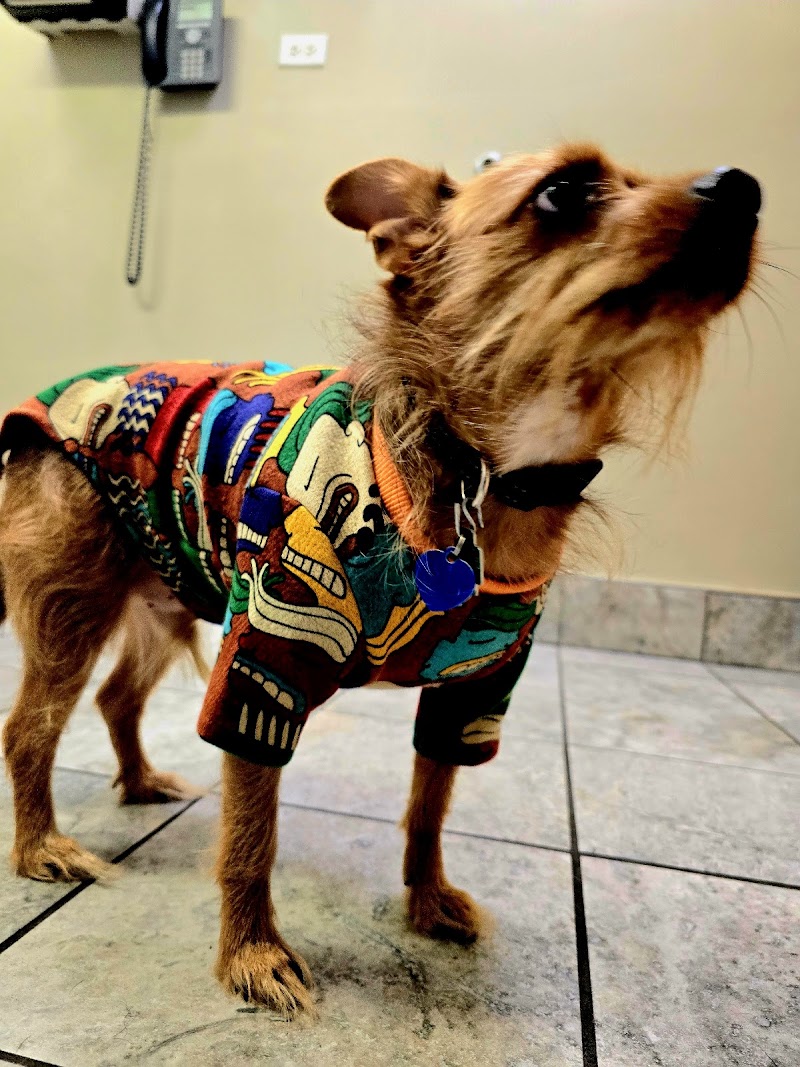 LePar Animal Hospital