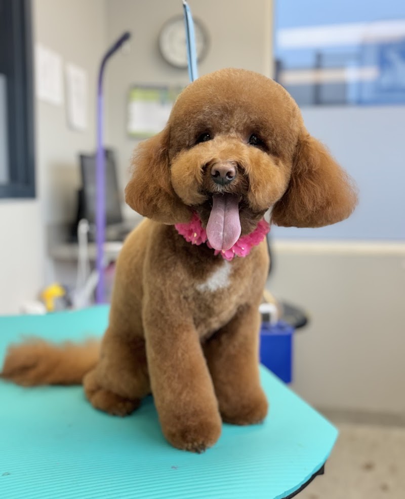 LePar Animal Hospital