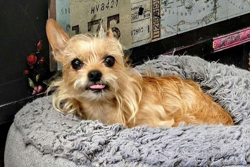 Worthington Animal Clinic