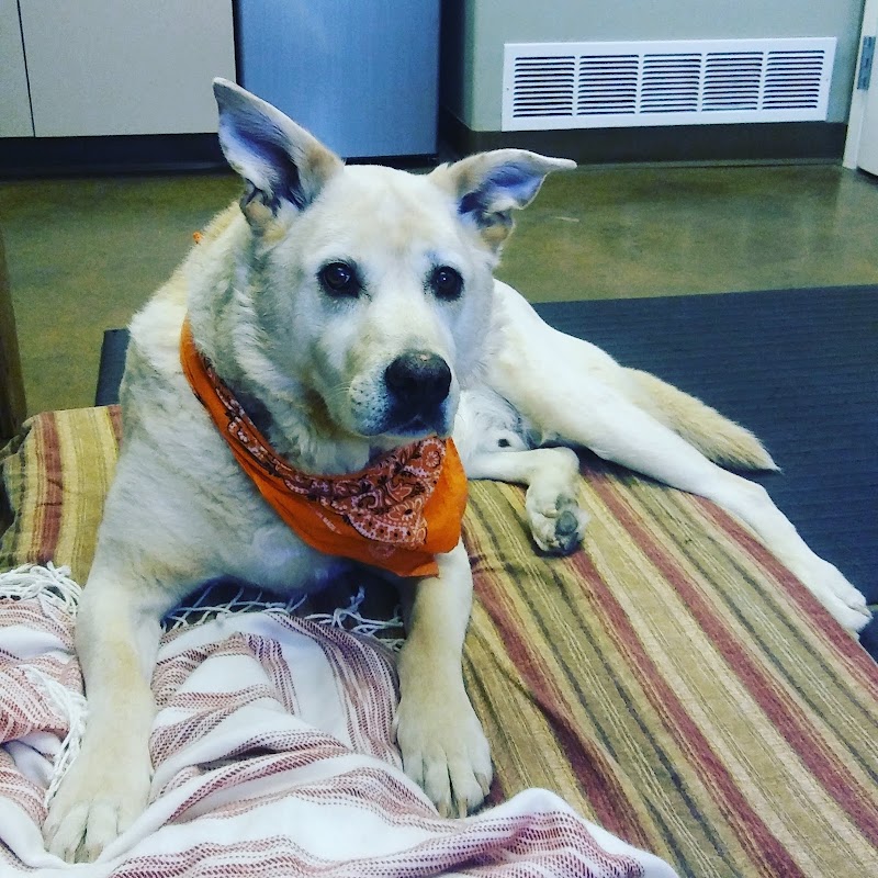 Worthington Animal Clinic