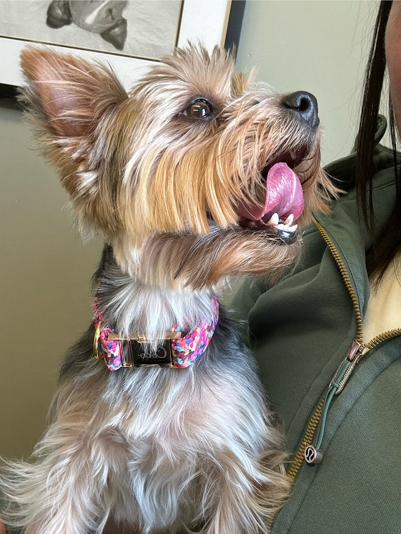 Worthington Animal Clinic - Loveland