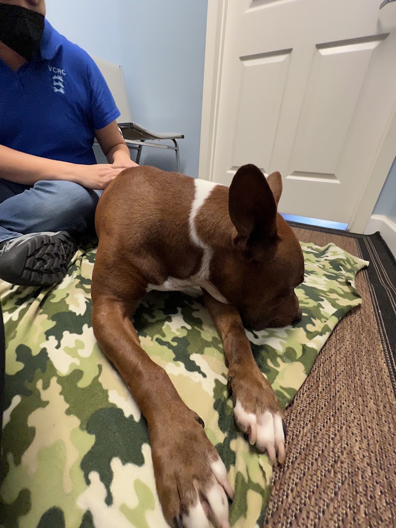 Veterinary Chiropractic and Rehabilitation Clinic