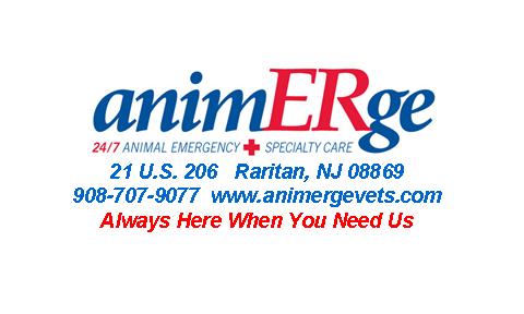 AnimERge