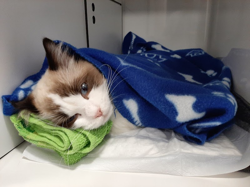 INVET Centre Veterinari
