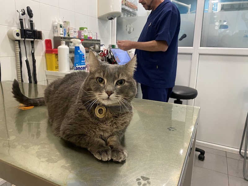 Clínica Veterinària Doctor Tabernero