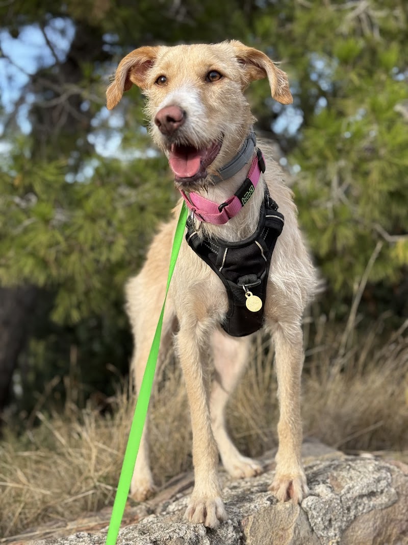 Clínica Veterinària Doctor Tabernero