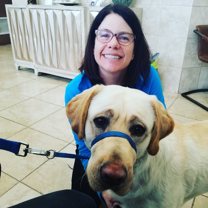 Otay Pet Vets
