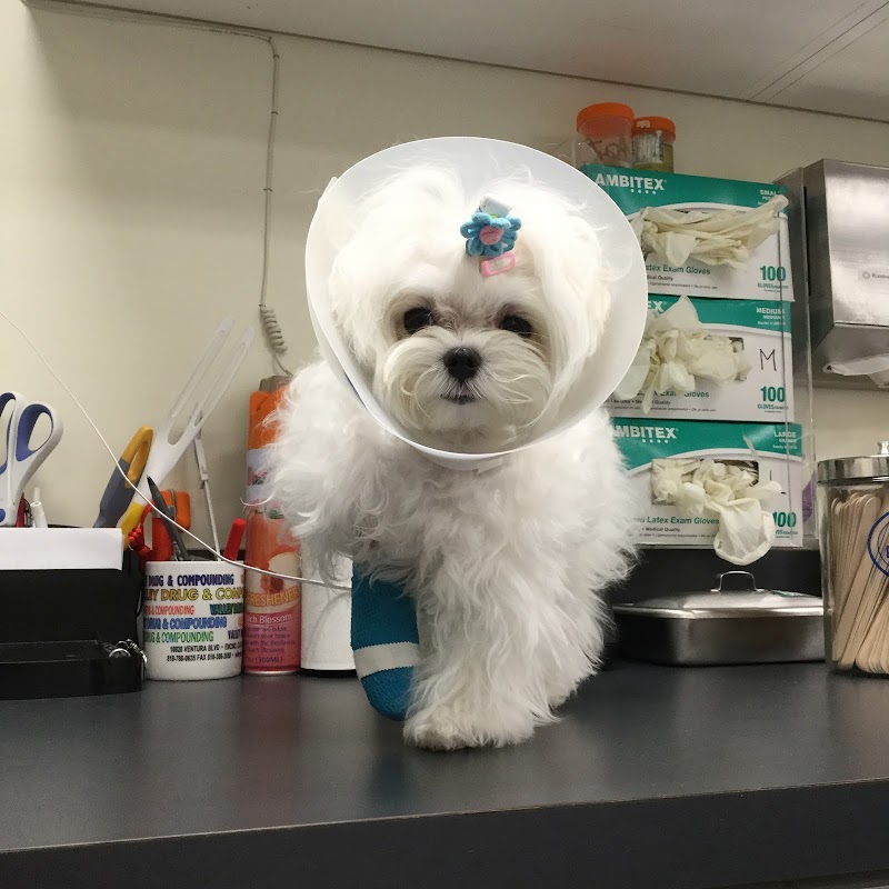 Little Tokyo Pet Clinic