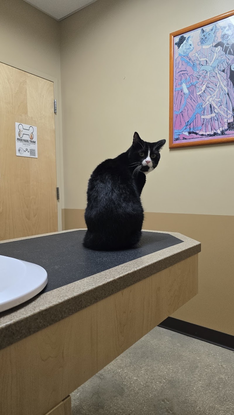 Eagle Veterinary Hospital