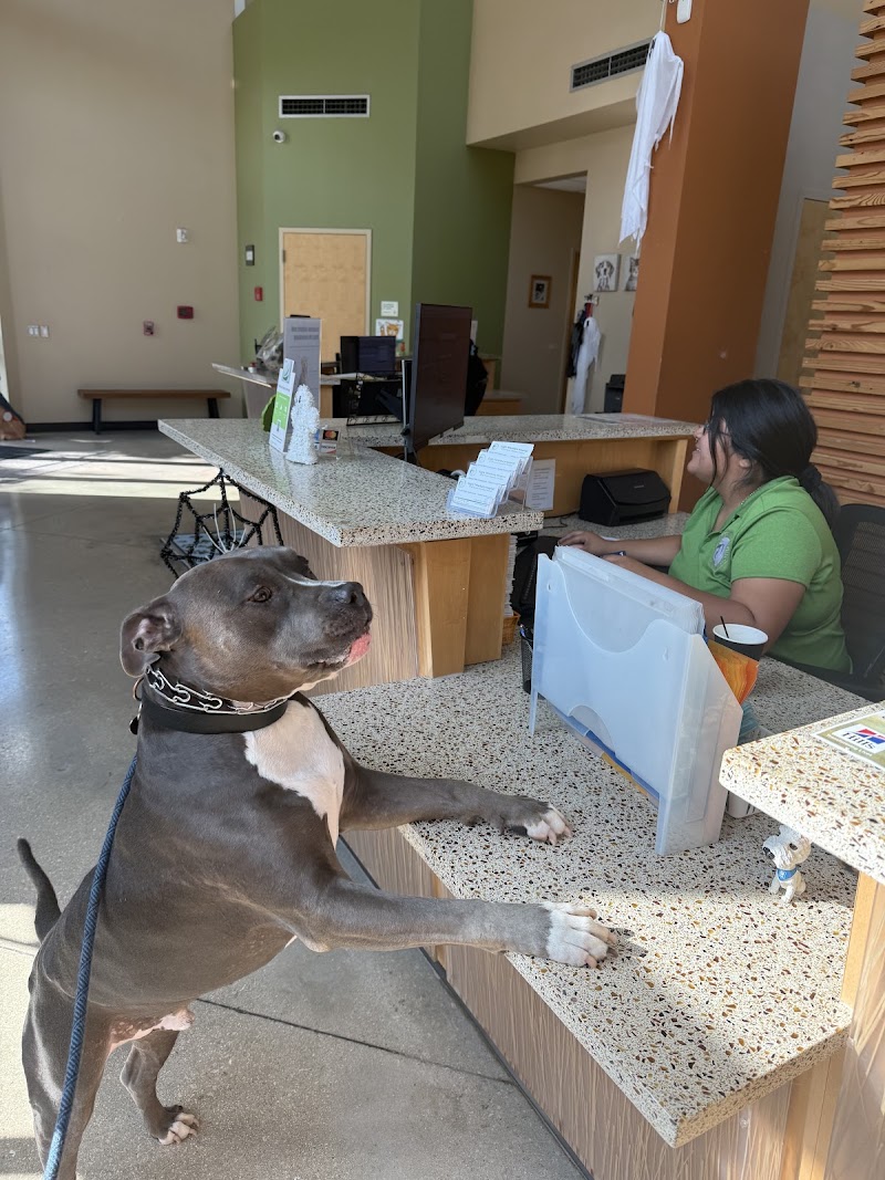Eagle Veterinary Hospital