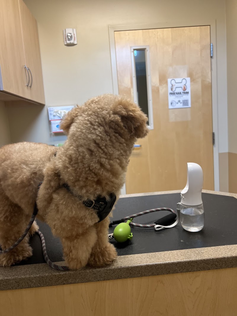 Eagle Veterinary Hospital