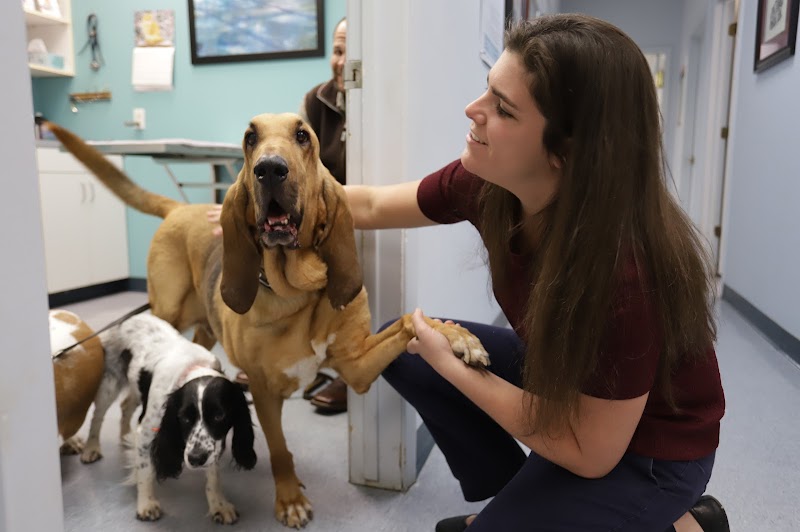 Tanglewilde Veterinary Clinic