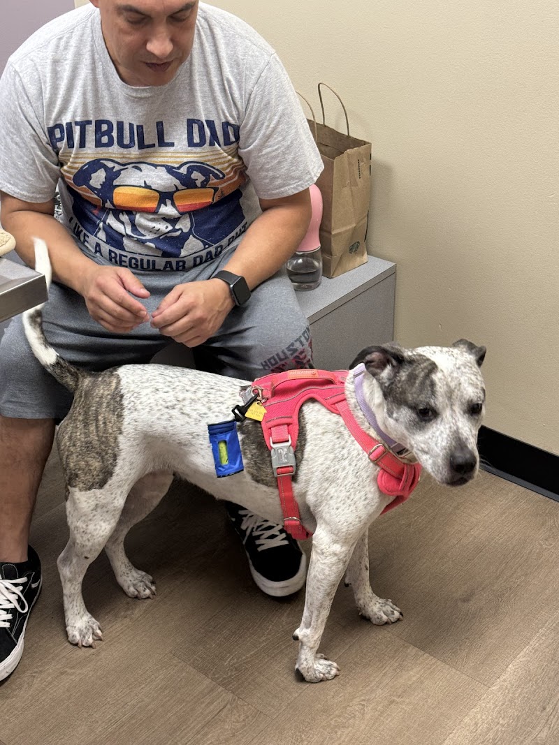 Tanglewilde Veterinary Clinic