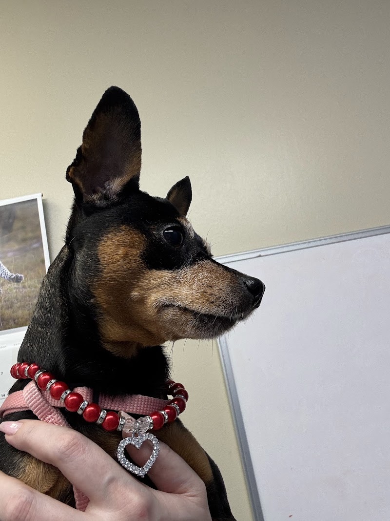 Tanglewilde Veterinary Clinic