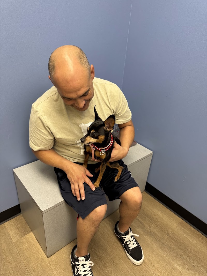 Tanglewilde Veterinary Clinic
