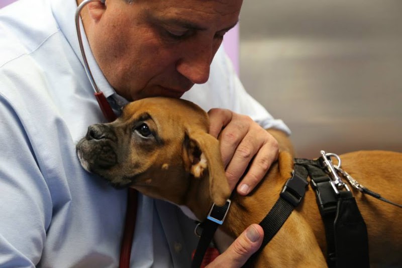 Philadelphia Animal Hospital - Philadelphia