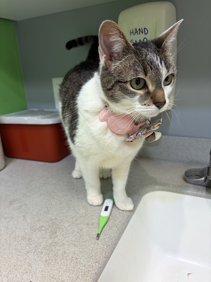 Philadelphia Animal Hospital