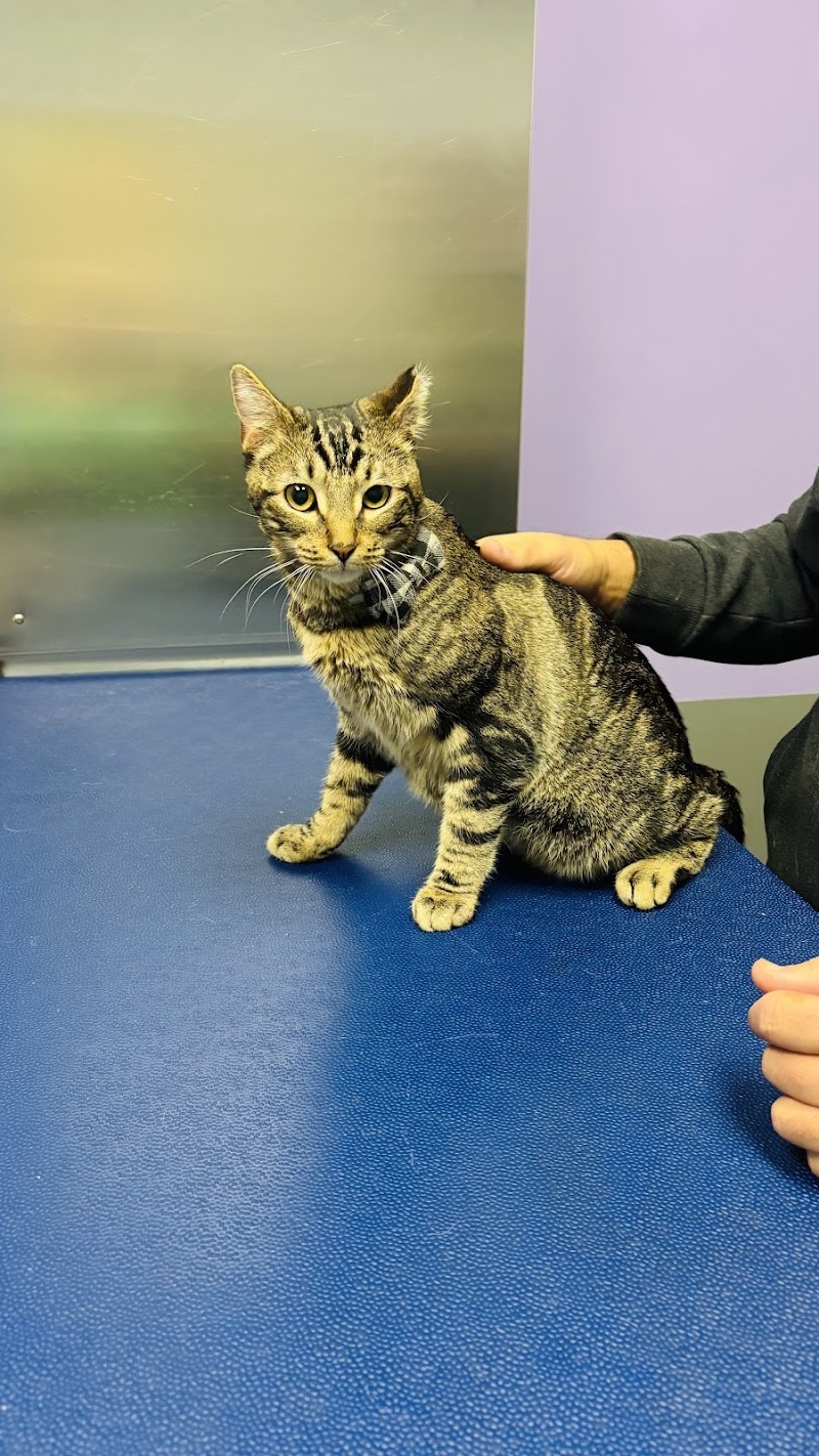Philadelphia Animal Hospital
