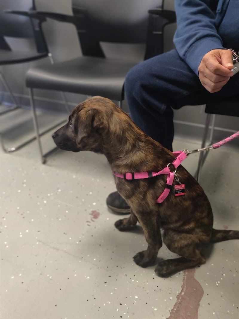 Philadelphia Animal Hospital
