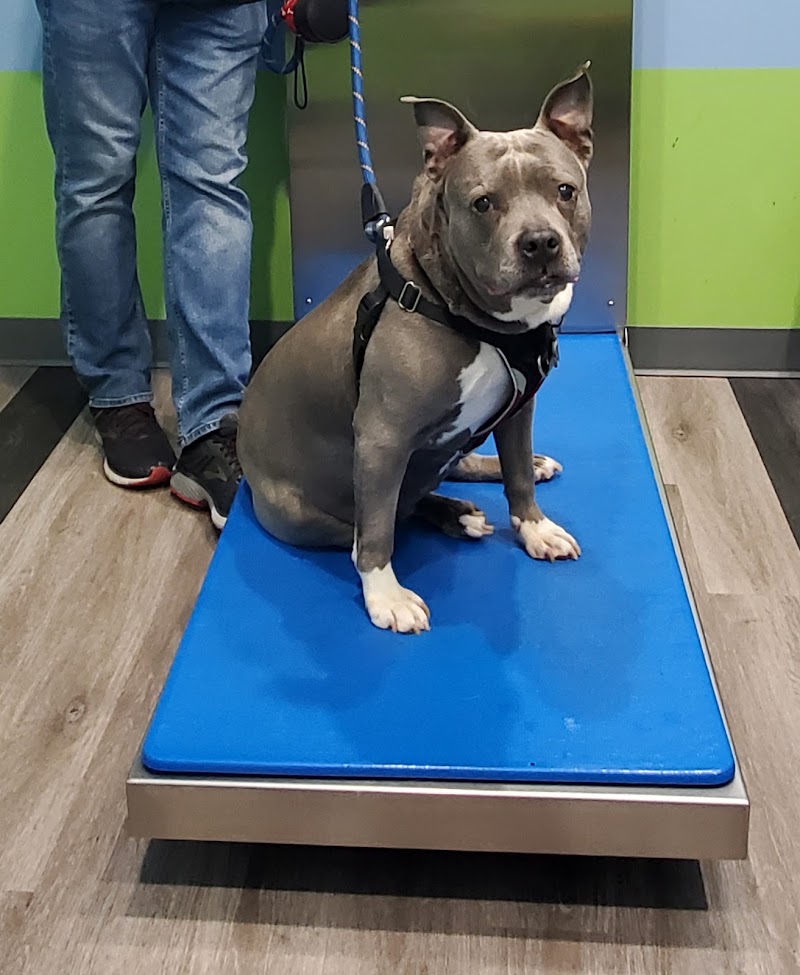 Philadelphia Animal Hospital