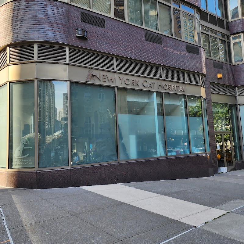 New York Cat Hospital
