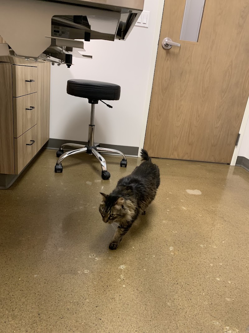 Sadie Veterinary Urgent Care