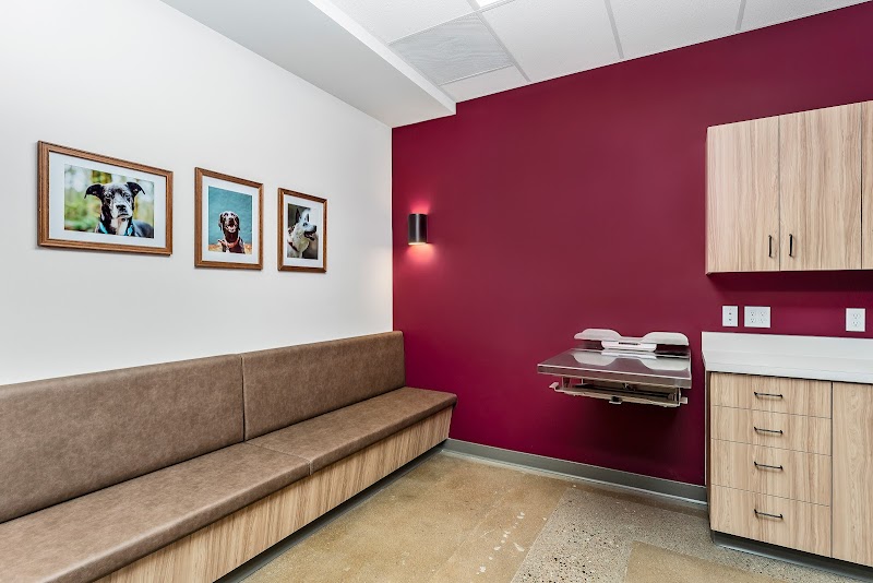 Sadie Veterinary Urgent Care