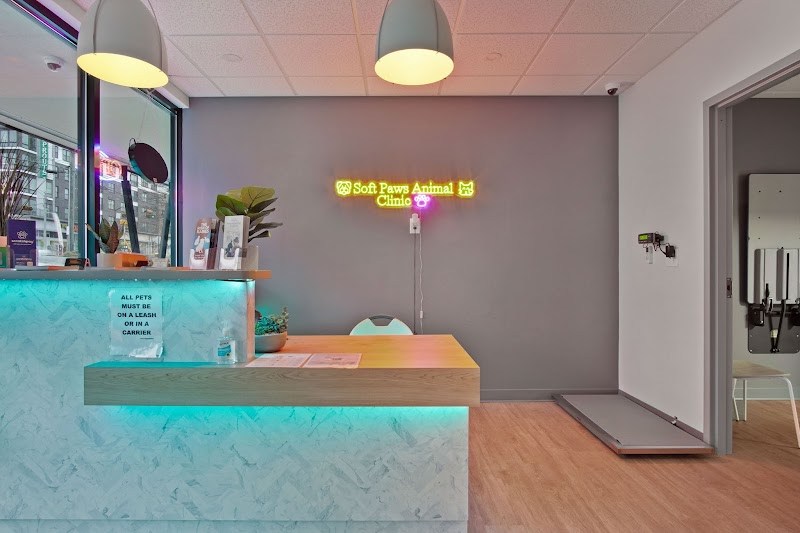 Soft Paws Animal Clinic and Urgent Care