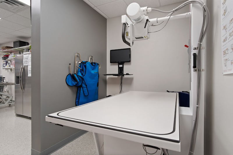 Soft Paws Animal Clinic and Urgent Care - Atlanta