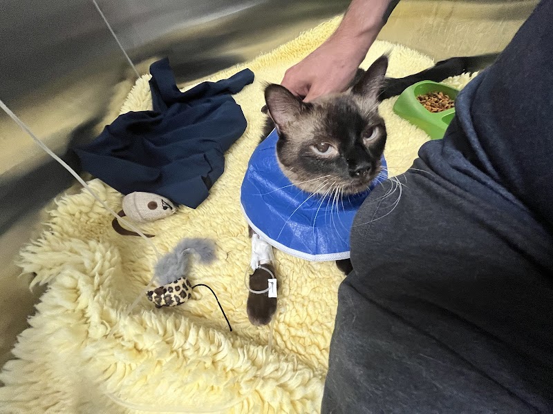 Emergency Animal Hospital of Crystal Falls