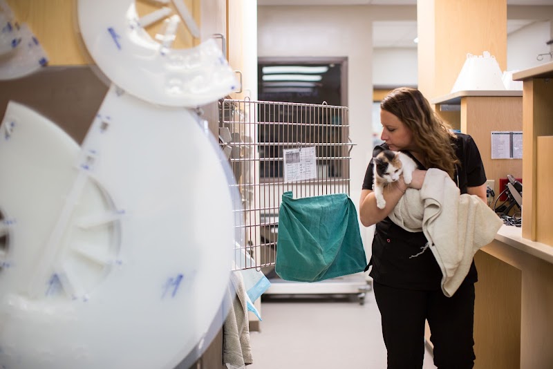 BluePearl Pet Hospital