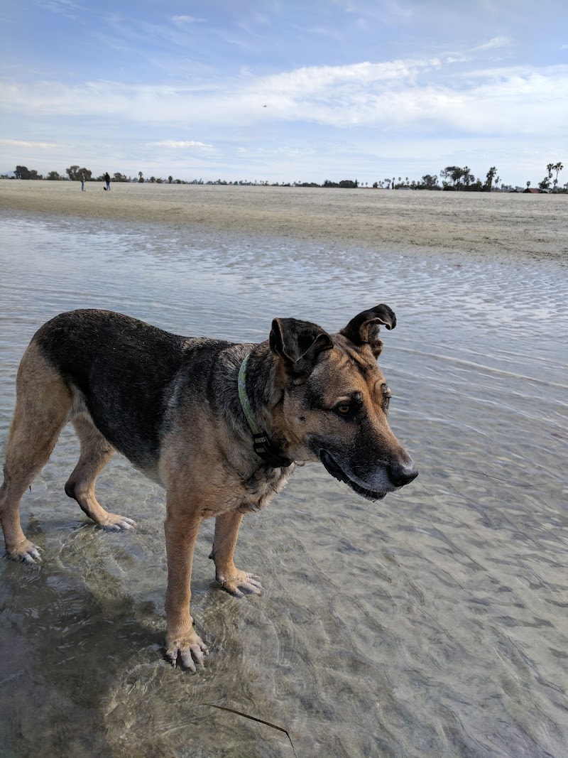 Animal Healing Center