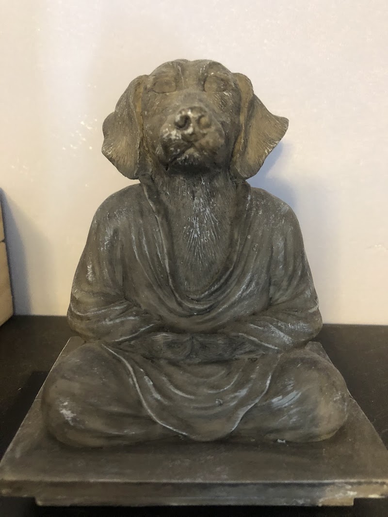 Animal Healing Center