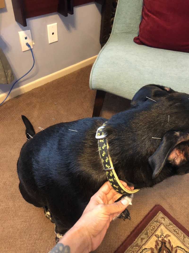 Animal Healing Center