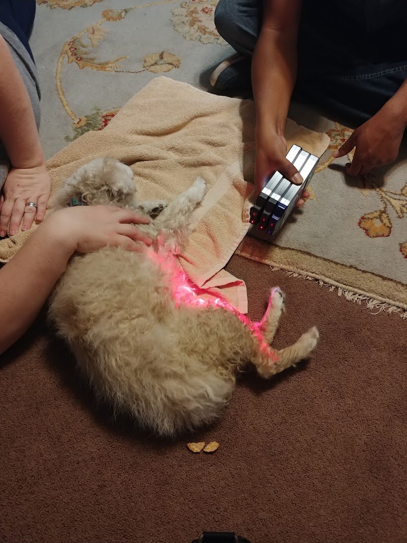 Animal Healing Center