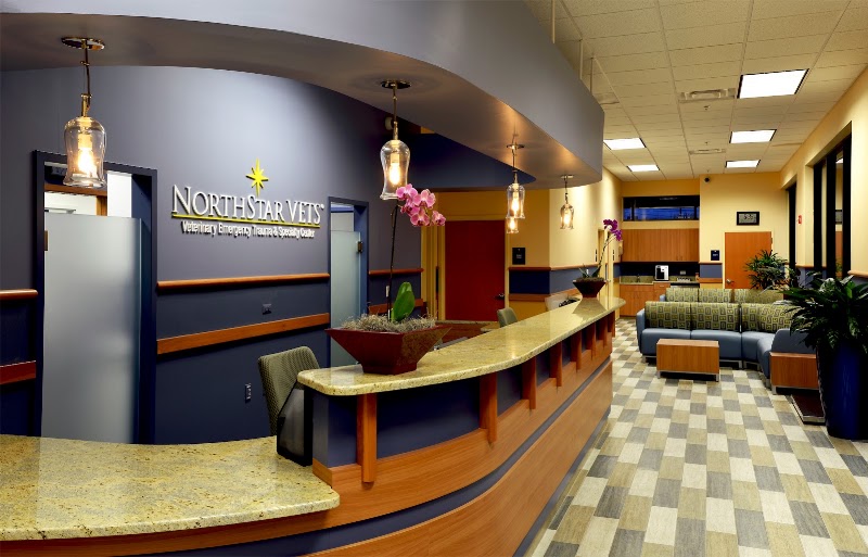 NorthStar VETS