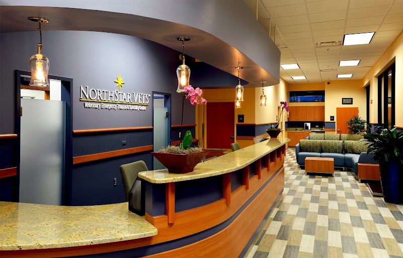 NorthStar VETS